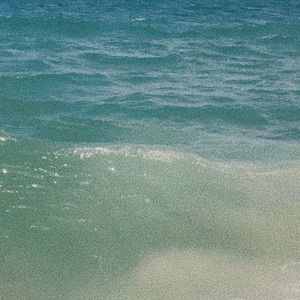 Meet your Posher, Bella